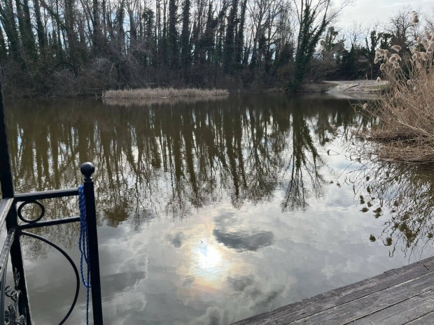 RSD kik�t�hely kiad�