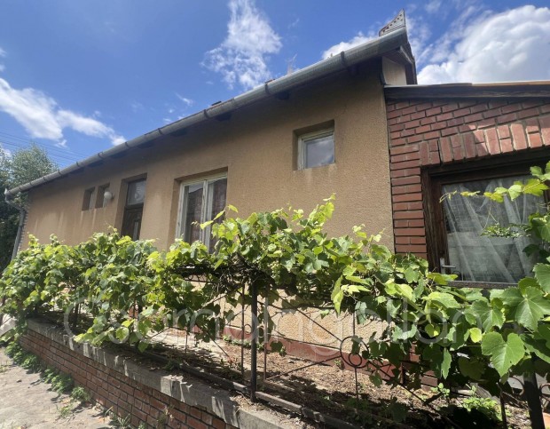 R�baszentandr�s - 4 szoba nappalis h�z elad�