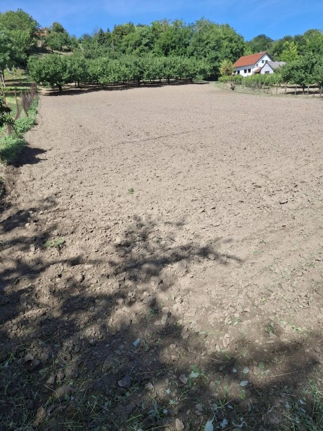 Rcalmsi telek
