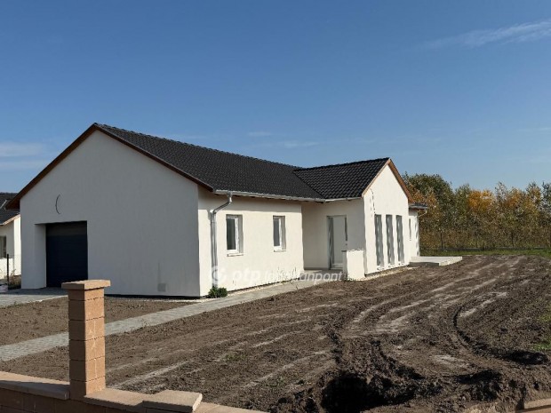 R�ckevei elad� 113 nm-es h�z