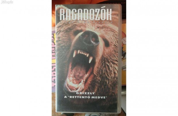 Ragadozk VHS Grizzly, a "rettent medve". Debrecenben