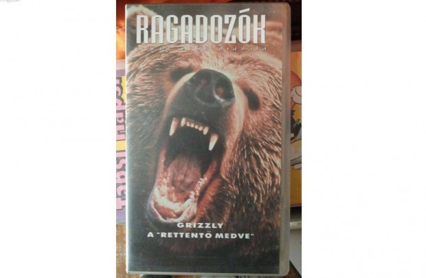 Ragadozk VHS Grizzly, a "rettent medve". Debrecenben