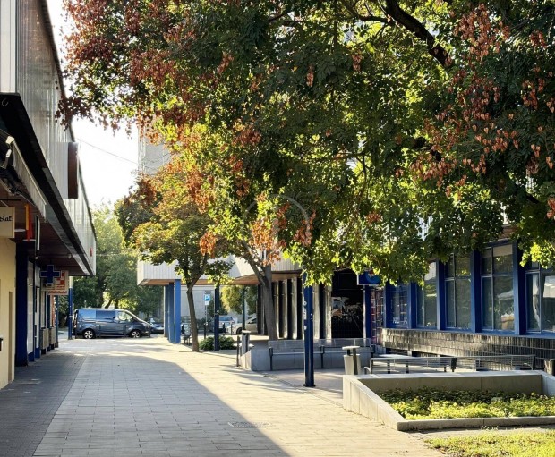 R�kosfalva Park S�t�l�utcai R�sz�n �zlethelyis�g Kiad�!