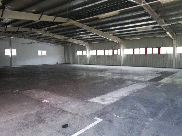 Rakt�r kiad� Vecs�sen