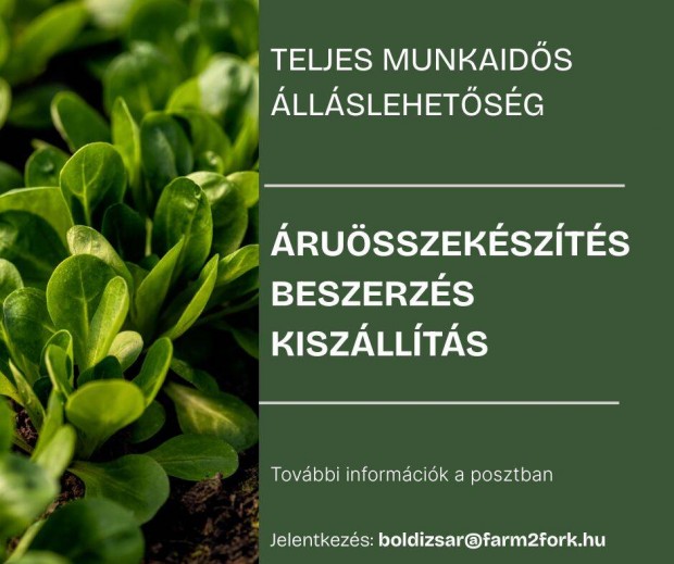Raktáros/Beszerző/Kiszállító