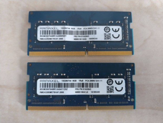 Ramaxel DDR4 2666MHz 16GB (2x8GB) memria