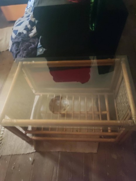 Rattan üveglapos asztal
