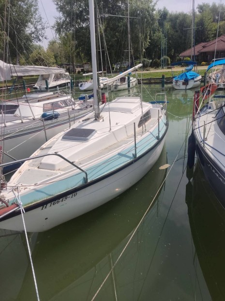 Rebell Seaskipp vitorls haj