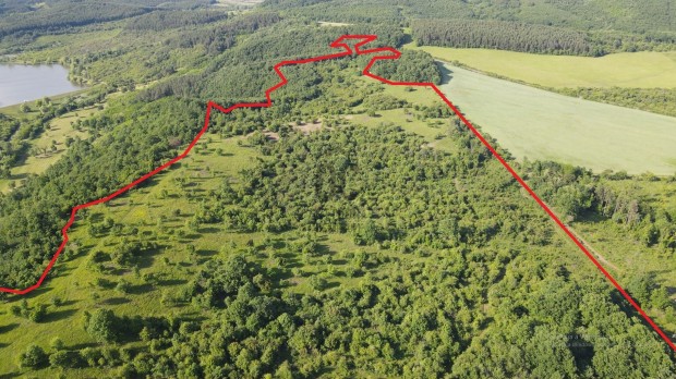 Recsk �s Sirok k�z�tt elad� 41,6 hekt�ros erd� �s legel�