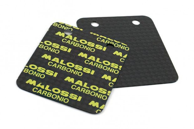 Reed lapok Malossi VL13 0,30 mm (45�)