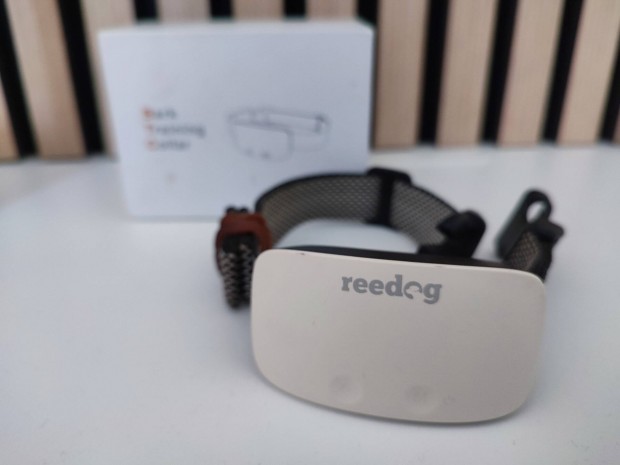 Reedog ugatásgátló nyakörv