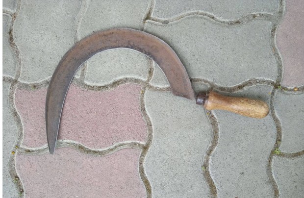 R�gi fa nyel� sarl�