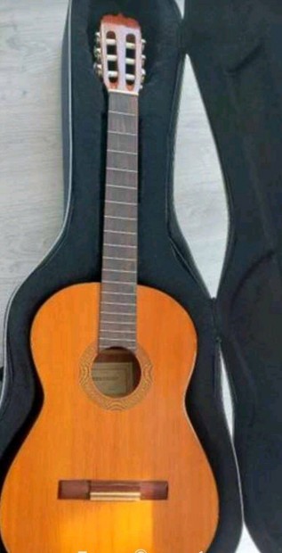Rgi farfisa gitar