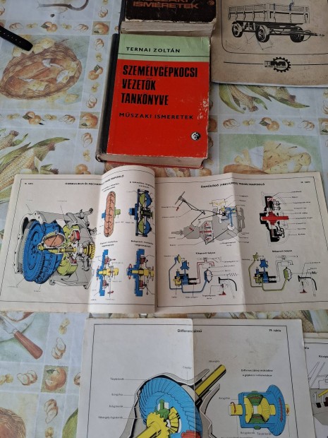 Rgi jrmves/ gpknyvek