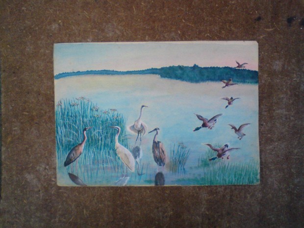 Régi kép madarak a tóban - akvarell vagyis vízfesték kis festmény