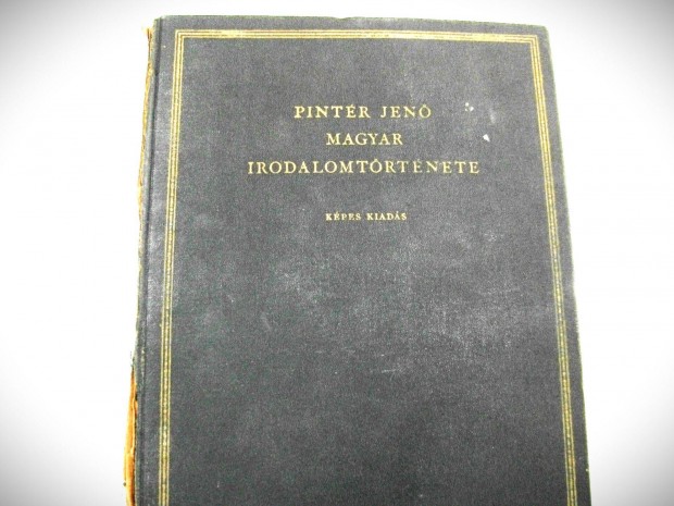 Rgi knyv: Pintr Jen: Magyar irodalomtrtnet Kpes kiads sok illu