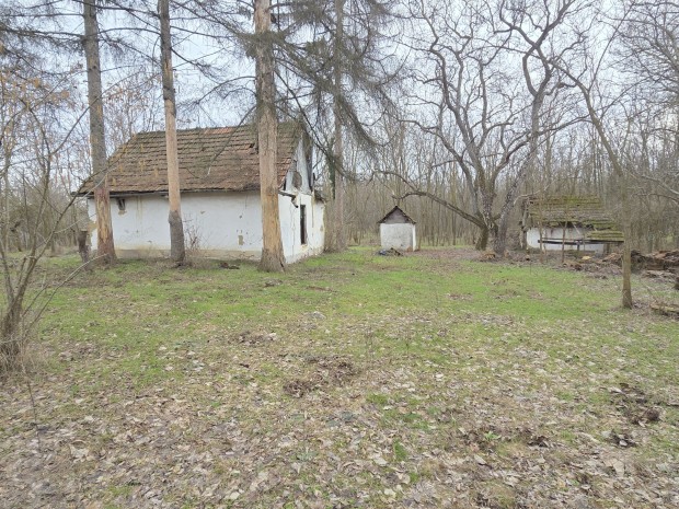 R�m belter�let�n elad� tanya, 2060 nm-es telekkel!