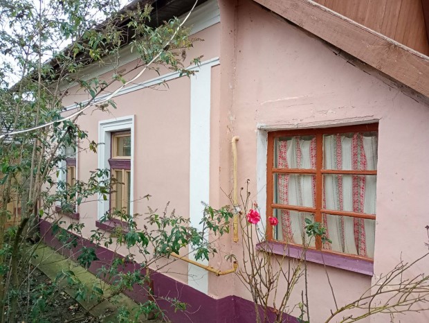 Remek lehet�s�g!