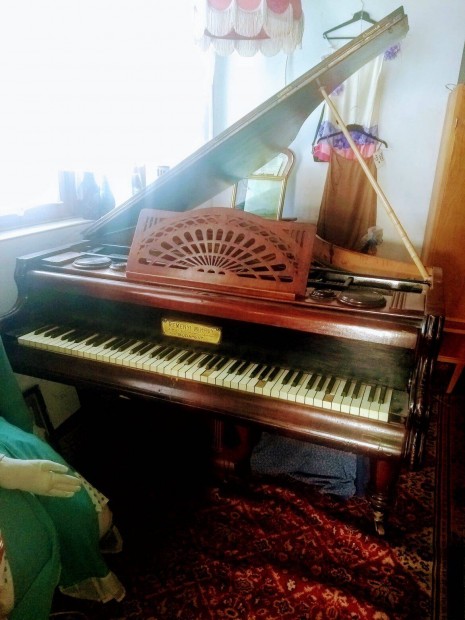 Remnyi zongora intzmnynek ingyen elvihet