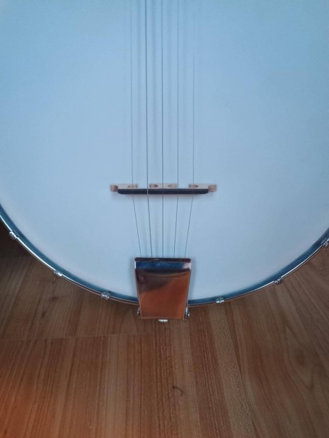 Remo Weatherking Banjo ?