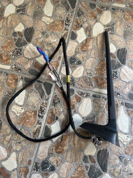 Renault Clio antenna