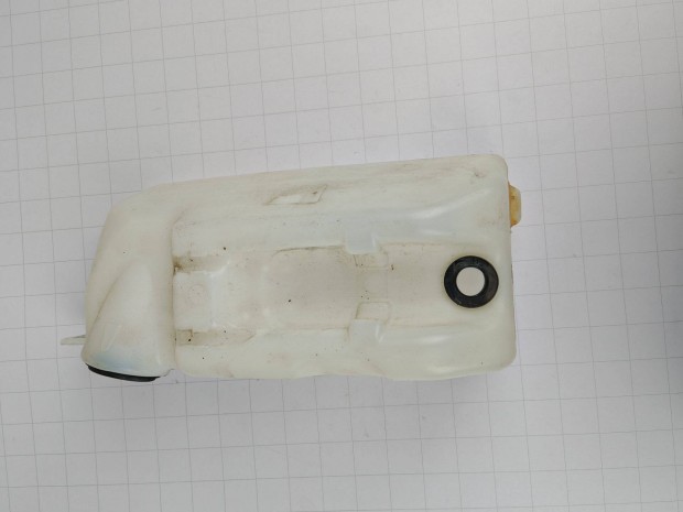 Renault Zoe ablakmos tartly (hasznlt) 289105725R