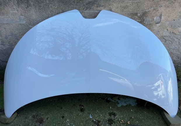 Renault Zoe geptet� ,kis hibas