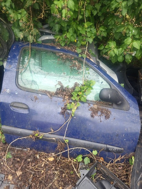 Renault clio ajto