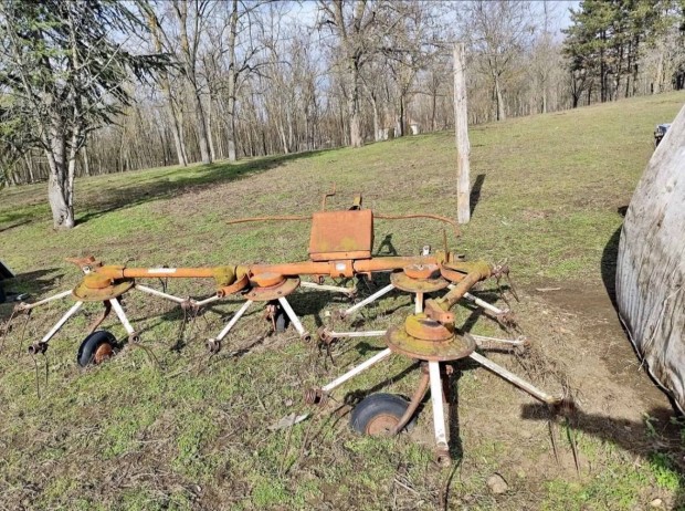 Rendkezel�, rendter�t�