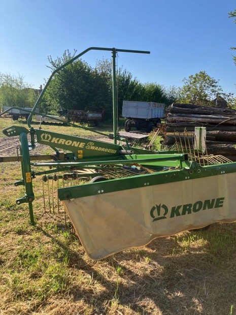 Rendsodr krone sw42