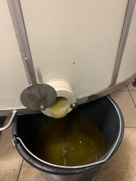 Repceméz eladó (hordós tételben)
