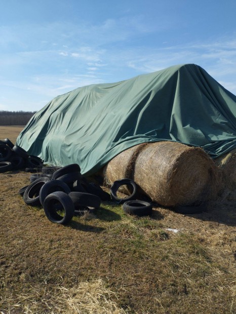 Rti szna 160 cm fedett helyen trolt takarmny elad