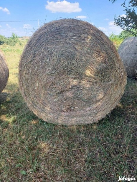 Rti szna elad