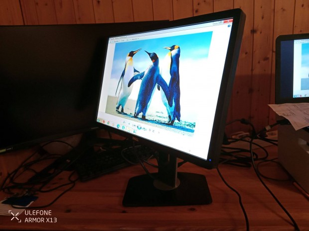Retro Dell 22" LCD Monitor
