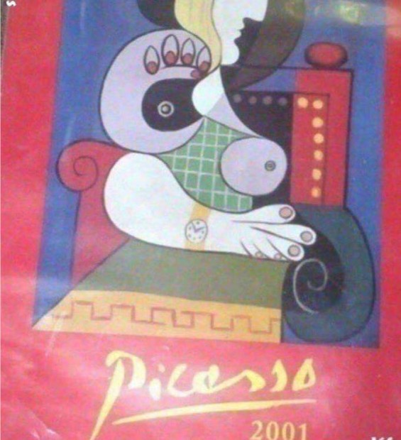 Retro falinaptr 2001 Picasso