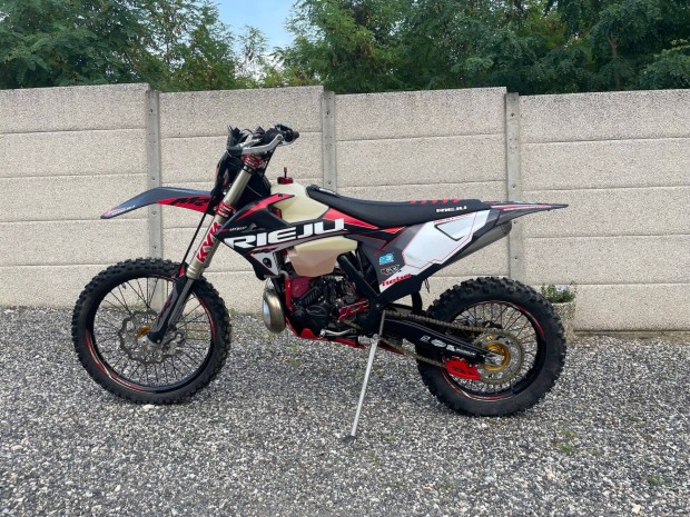 Rieju MR300 Enduro motor