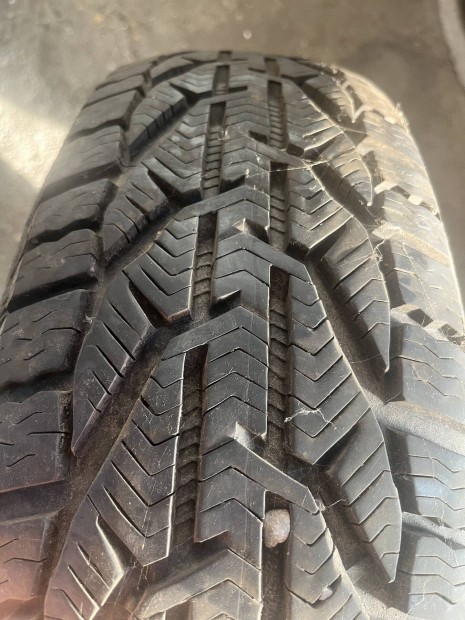 Rikken Snow 185/65 R14