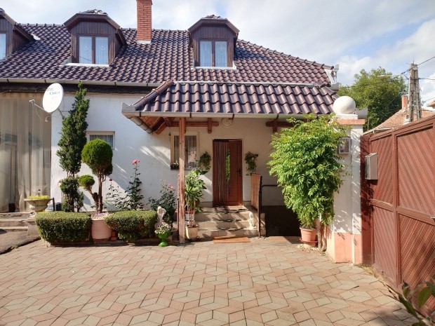 Ritkas�g Gy�ngy�s sz�v�ben: massz�v k�h�z bolt�ves pinc�vel,