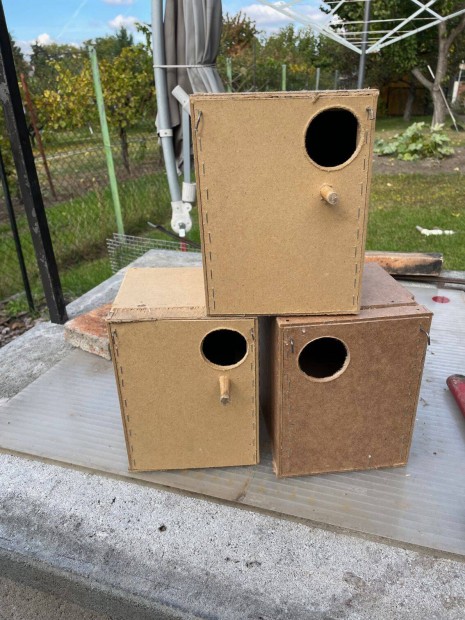 Rizspinty oduk eladok