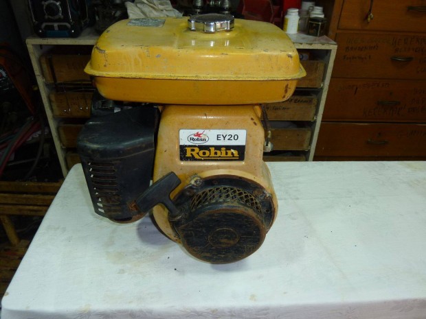Robin Ey20 motor