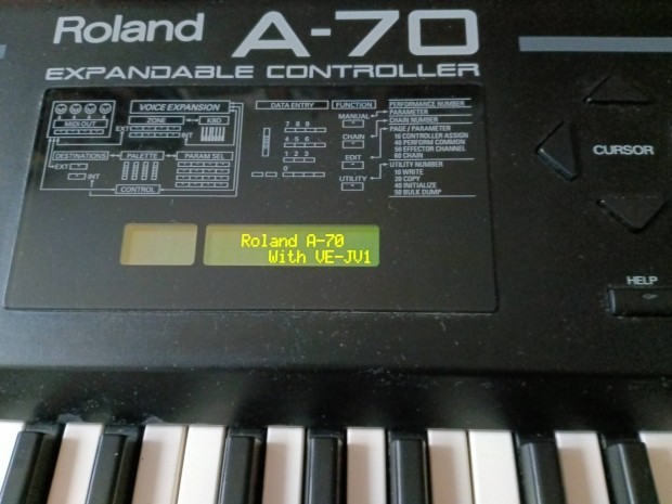 Roland A-70 billenty