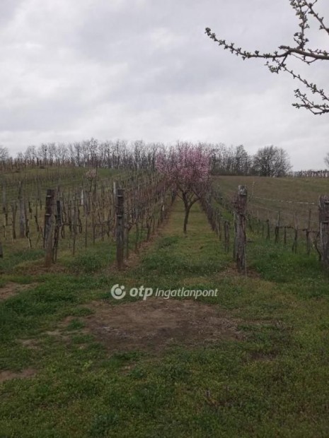 Rom�ndi elad� 1119 nm-es telek