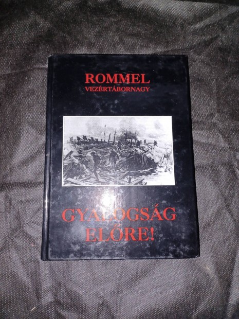 Rommel vezértábornagy - Gyalogság előre! Danubia