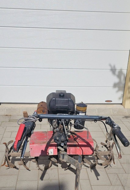 Rotcis gp elad