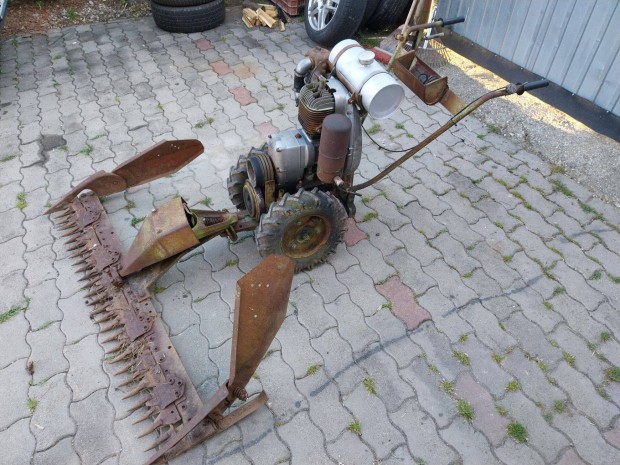 Rotax alternl kasza