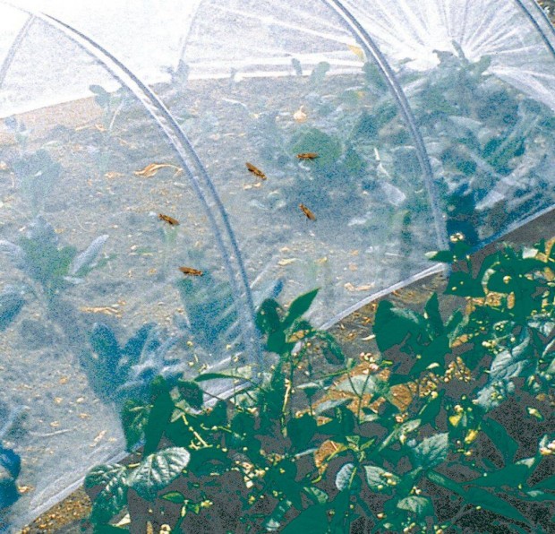 Rovarvédő háló Biocontrol , 2/100 címére szállítva. Rovarháló környeze