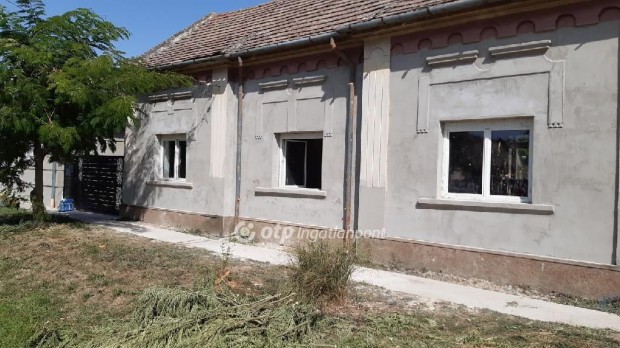 R�zsafai elad� 98 nm-es h�z