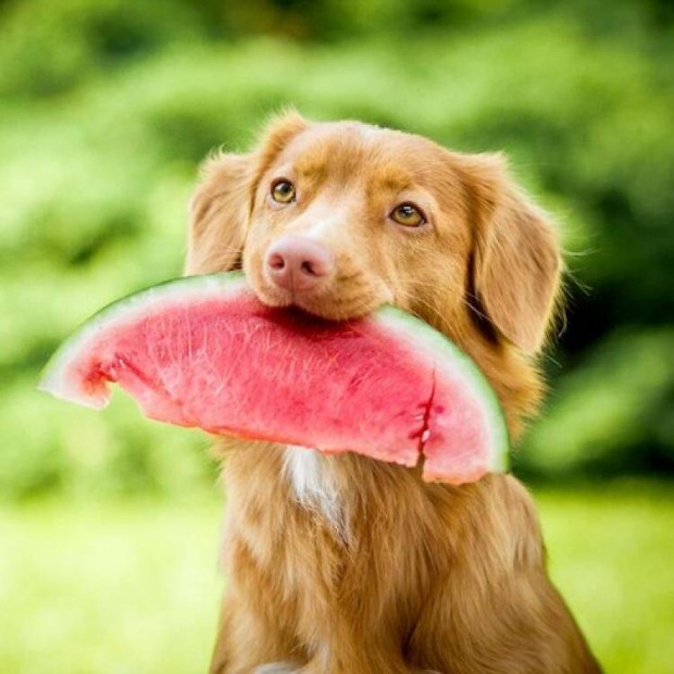 Rrrrrrrrrrrrrrrrrrrrrrrrrr