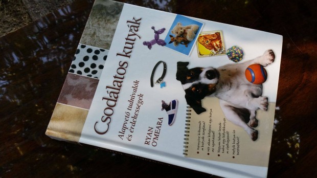 Ryan O'Meara: Csodlatos kutyk + Holly Webb: A magnyos kiskutya +DVD