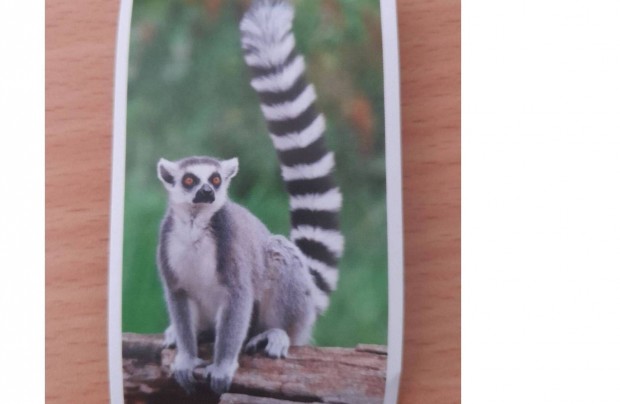 SPAR Állati rekordok 2 matrica